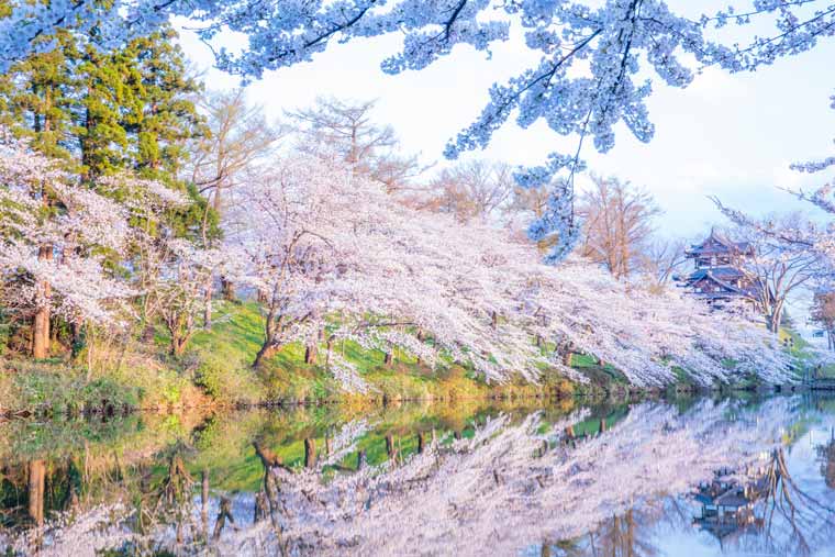 高田公園