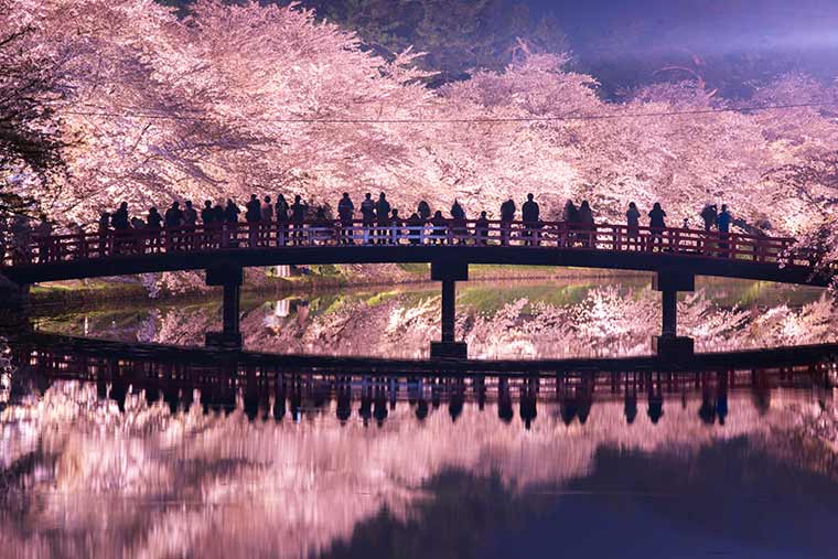 弘前公園