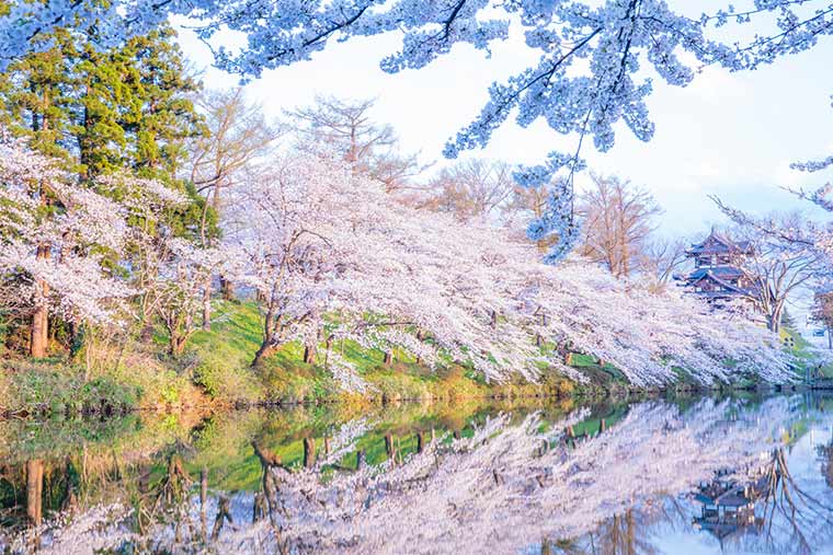 高田公園