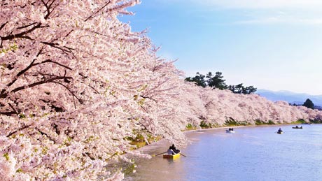 弘前公園(ひろさきこうえん)