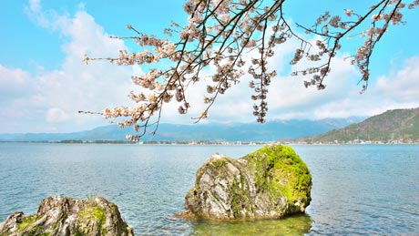 海津大崎