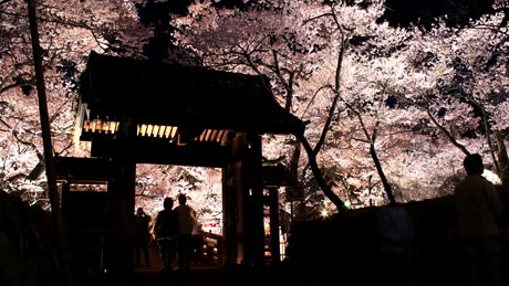 高遠城址公園(たかとおじょうしこうえん)
