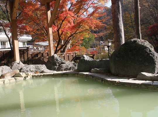 塩原元湯温泉 秘湯の宿 元泉館
