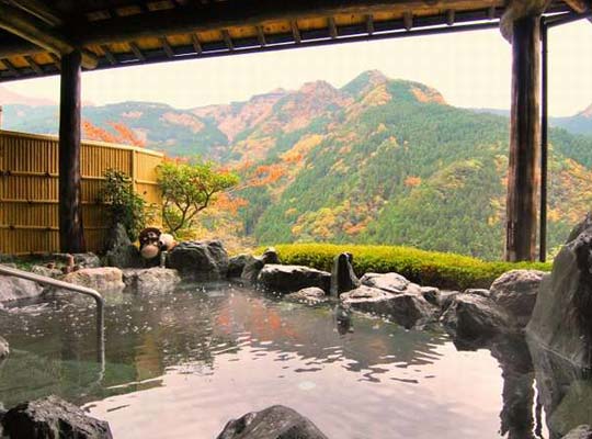 新祖谷温泉 ホテルかずら橋