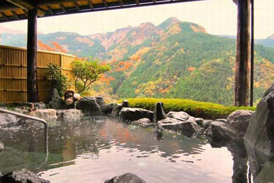 新祖谷温泉 ホテルかずら橋