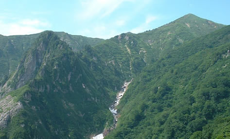 六日町温泉 いろりあん