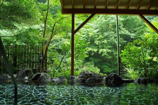 箱根温泉 鶴井の宿 紫雲荘