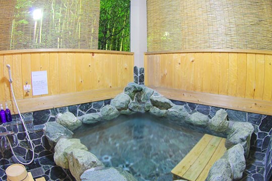 峰温泉 源泉かけ流しの宿 河津・花小町