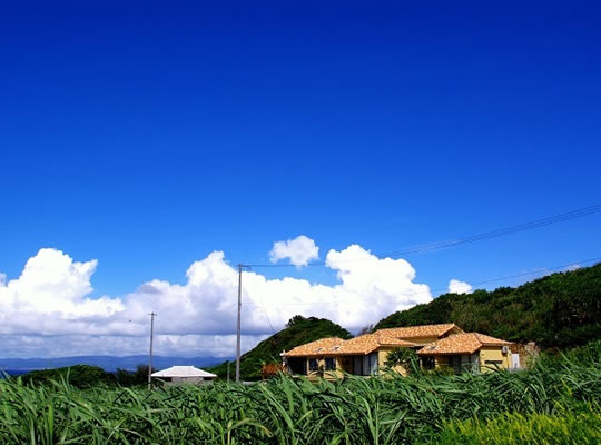 hotel cava