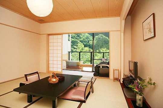 渓谷の隠れ宿 祖谷美人