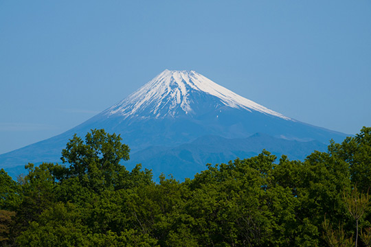 ホテルラフォーレ修善寺 山紫水明