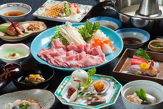 湯河原温泉 源泉 上野屋