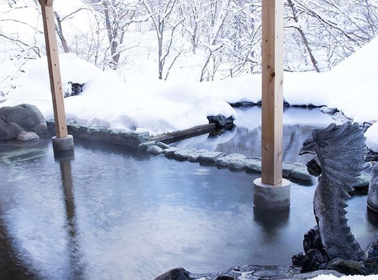 源泉掛流しの湯めぐりテーマパーク 龍洞(貸切露天風呂「大龍」)