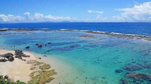 徳之島