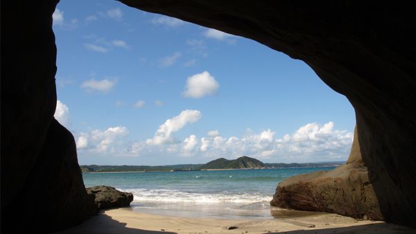 種子島