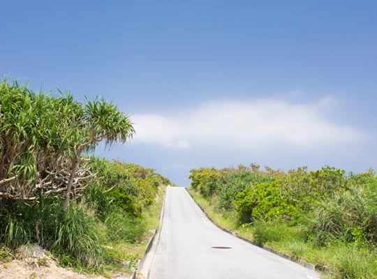 渡嘉敷島