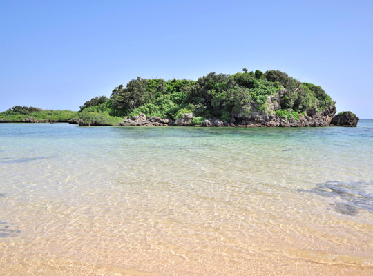 西表島