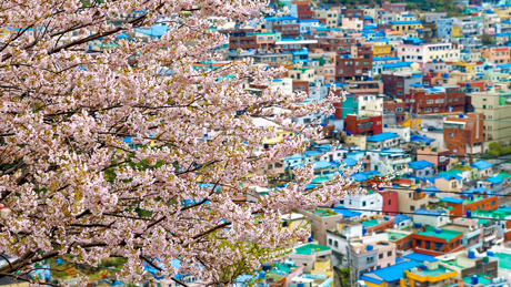 甘川洞文化村