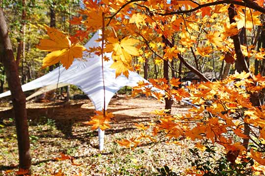 FARM&CAMP Re:HAKUBA