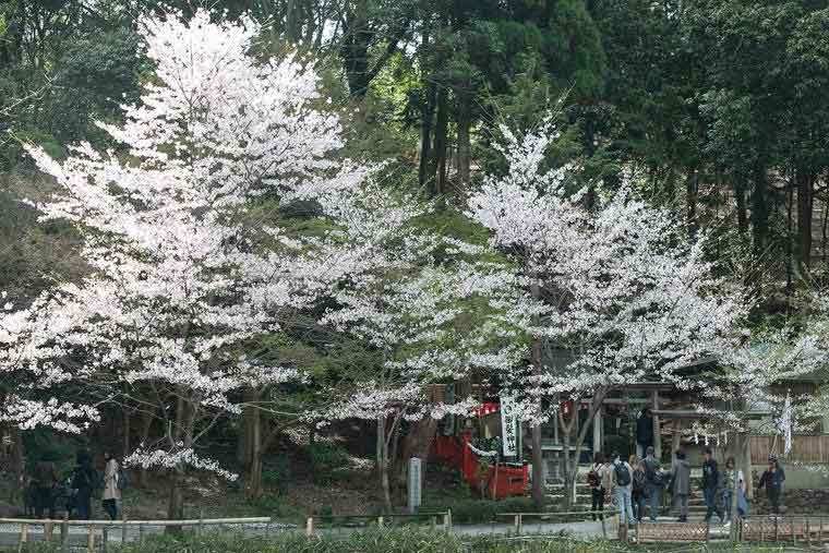 御髪神社
