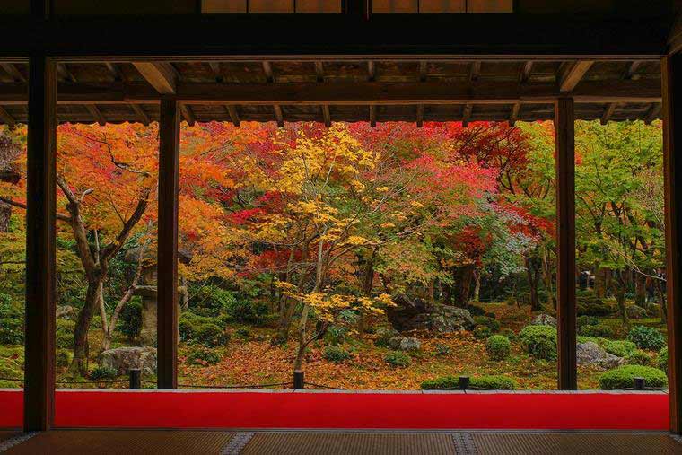 圓光寺