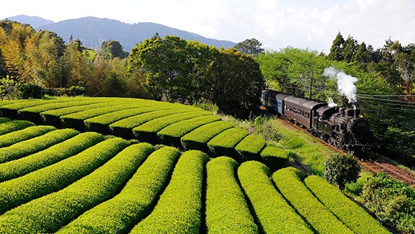 大井川鐡道