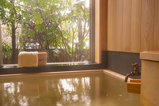 浅間温泉 四季彩々の隠れ宿 富士乃湯
