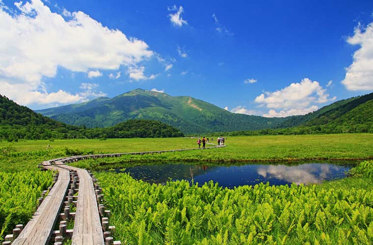 尾瀬ヶ原