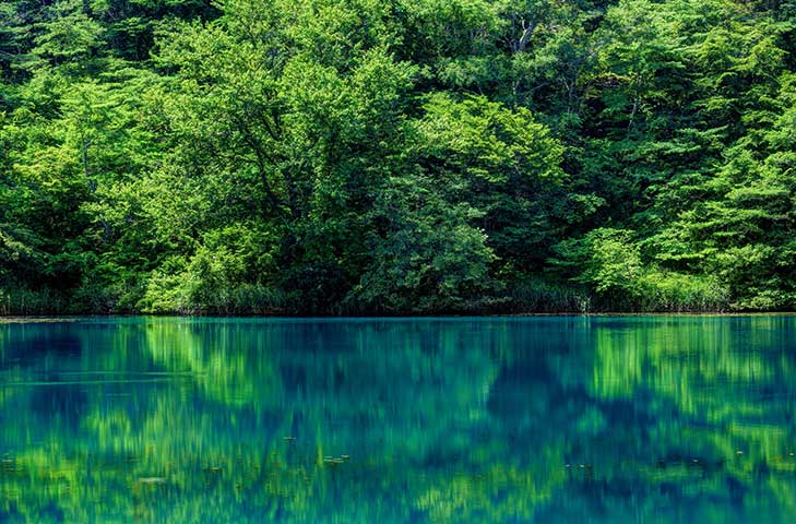 毘沙門沼
