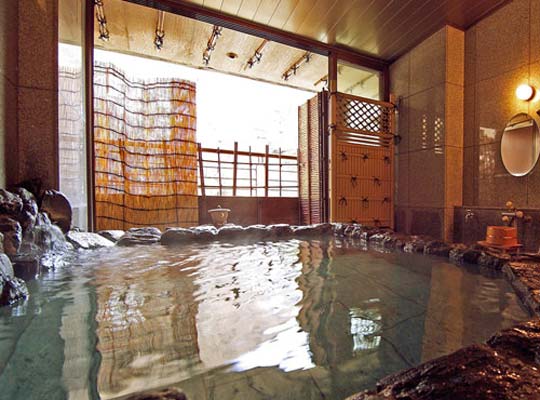 鬼怒川温泉 湯けむりまごころの宿 一心舘