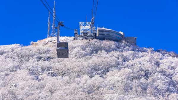 函館山