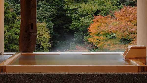 箱根湯本温泉 箱根水明荘