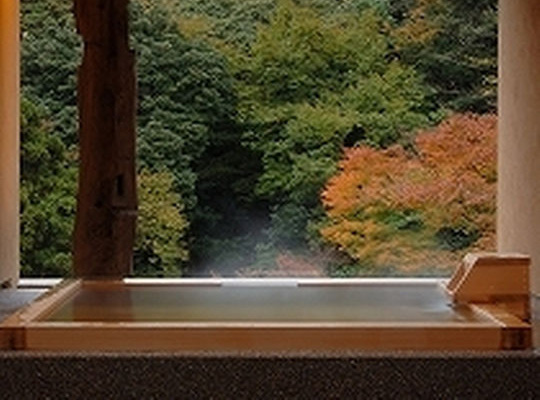 箱根湯本温泉 箱根水明荘