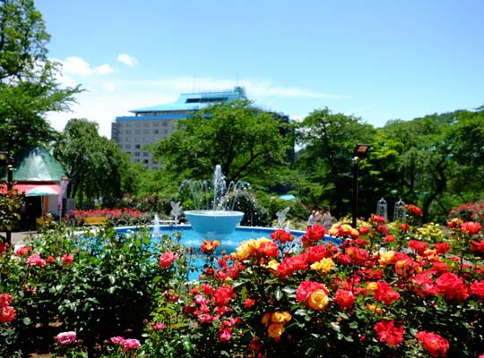 花巻温泉 バラ園