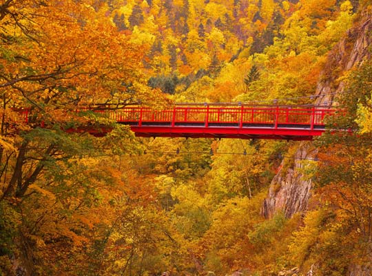 二見吊橋