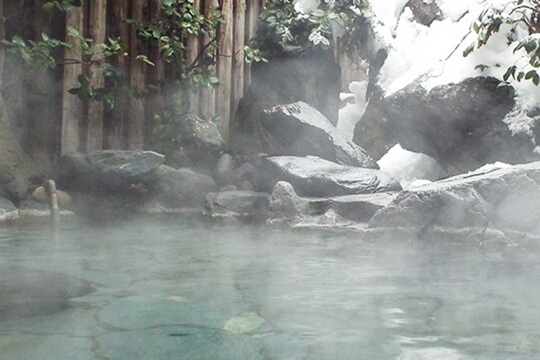 浅虫温泉 椿館