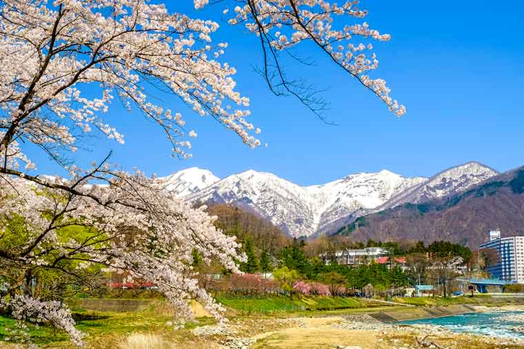 水上 諏訪峡