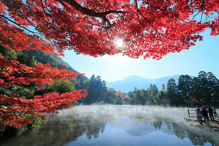 由布院温泉 金鱗湖