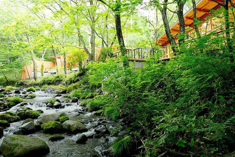 「蔵王の森」がつくる美と健康の温泉宿 ゆと森倶楽部
