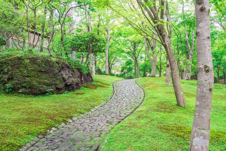 強羅温泉 箱根美術館 苔庭