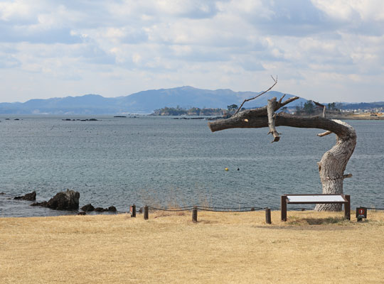 岩井崎