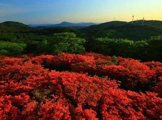 気仙沼 新緑の徳仙丈山