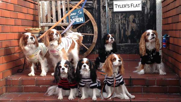 ワンちゃんと泊まれるブリティッシュスタイルのプチホテル Tyler’s Flat-タイラーズフラット