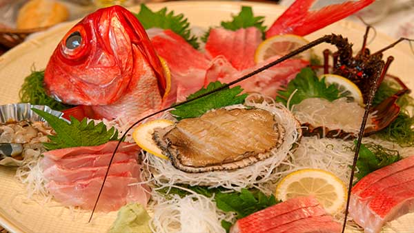 伊豆ドッグペンション ことぶきベース