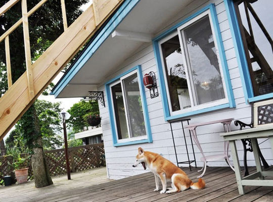 伊豆高原 癒しの薫りと美肌の湯 Dog Pension R65