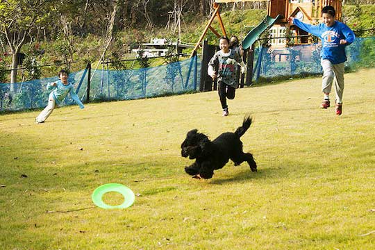 月影の丘ホテル ヴィラ勝山アヴェール