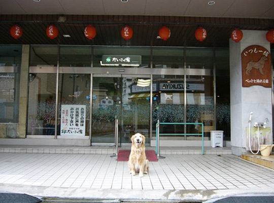 いつも一緒 ペットと泊まれる宿 だいこく館