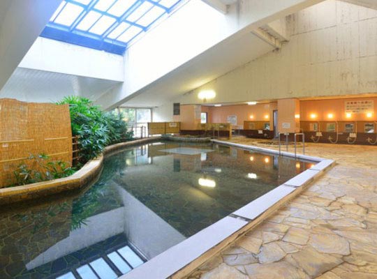 酒泉の杜 綾陽亭 綾温泉 照葉の湯