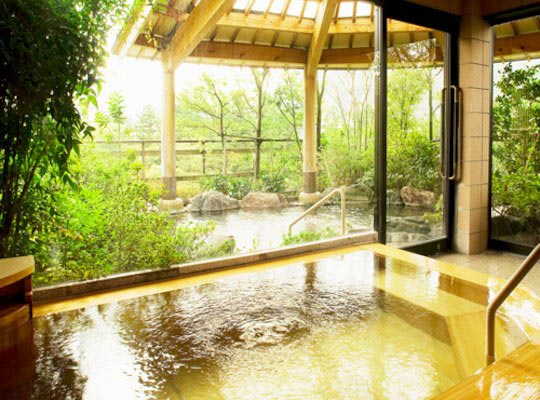 山中温泉 花紫