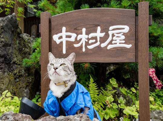 草津温泉 中村屋旅館<群馬県>